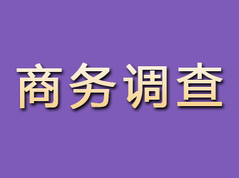 长岭商务调查